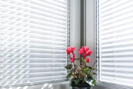 Unveiling the Charm: Window Blinds and Shades in Fresno