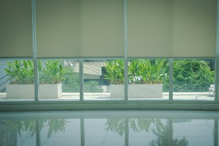 Upgrade Your Home with Motorized Blinds